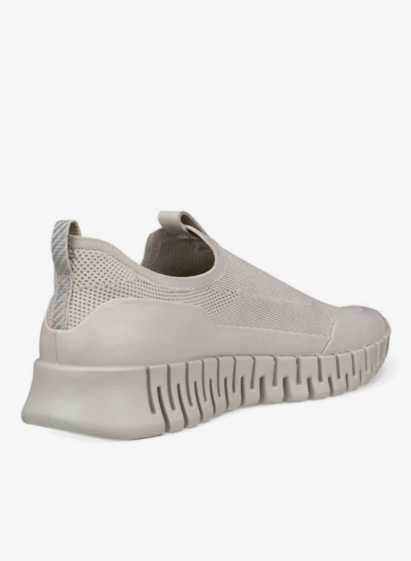 إيكو إيكو جروف دبليو جرافل